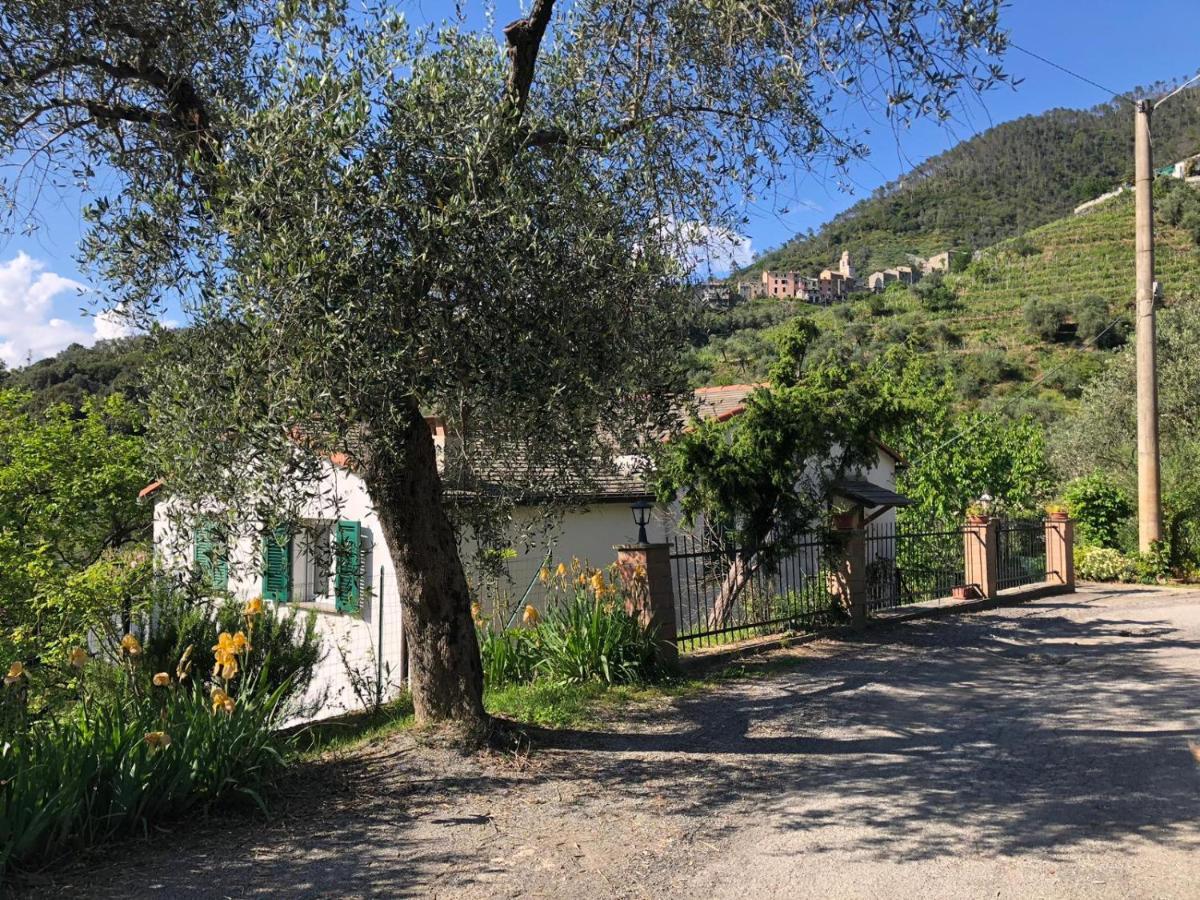 Ferienwohnung Dolcevia Levanto Exterior foto